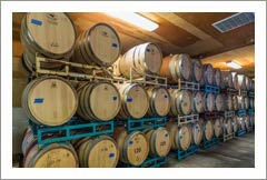 Paso Robles AVA Winery, Vineyard & Homes For Sale - Paso Robles Wine Country Real Estate
