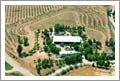 Paso Robles Olive Orchard, Zinfandel Vineyard and European Style Custom Home For Sale