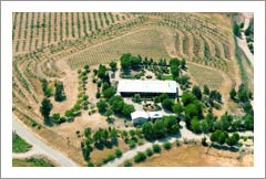 Paso Robles Olive Orchard, Zinfandel Vineyard and European Style Custom Home For Sale