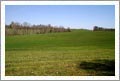 Yadkin Valley Plantable Vineyard Land For Sale - Ronda, North Carolina - Wine Real Estate