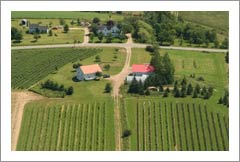 Nova Scotia, Canada - Dasygale Farm, Vineyard, and Home For Sale - Wine Real Estate
