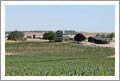 Vineyards For Sale - Paso Robles Vineyard For Sale - Paso Robles Land For Sale - Seller Financing