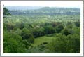 Gold Country Ridgetop Home and Land For Sale - Vineyard Potential - Wine Real Estate