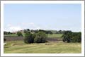 Templeton Vineyard and Land For Sale - Paso Robles AVA