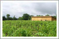 The Catskills, NY - Vineyard and Winery For Sale - Wine Real Estate