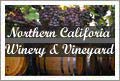 Northern California Winery Vineyard and Home For Sale