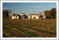 Lodi, CA - Large Custom Home and Vineyard For Sale