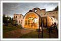Argentina Organic Winey with Boutique Hotel/Restaurant and Vineyards - For Sale - Wine Real Estate