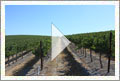 Creston, CA - Vineyard, Home, and Shop - 300 Acres