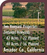 California Vineyards For Sale - Amador County, CA