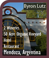 Organic Winery with Boutique Hotel/Restaurant & Vineyards For Sale - Mendoza, Argentina