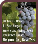 Distinctive Small Winery Estate on the Niagara Wine Trail - Niagra County, New York - Wine Real Estate