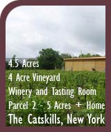 The Catskills, NY - Vineyard and Winery For Sale - Wine Real Estate