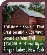Finger Lakes Vineyard Land For Sale - Winery Potential - Lodi, NY - Wine Real Estate