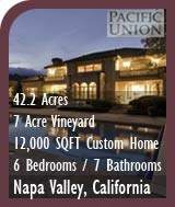  Napa Valley Vineyard and Large Custom Home For Sale - Pool - St. Helena Real Estate
