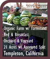 Templeton Organic Farm and Bed and Breakfast For Sale - Paso Robles Wine Country