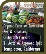 New York Apple Orchard For Sale - Jordan, New York - Orchard Real Estate