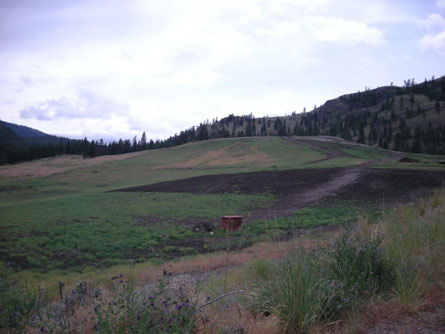 35+/- Acres with Vineyard/Winery Potential - Land For Sale - South Okanagan Valley, B.C. Canada - Wine Real Estate