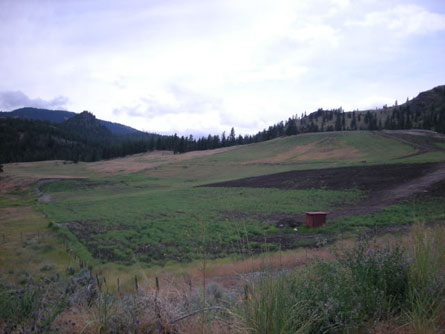 35+/- Acres with Vineyard/Winery Potential - Land For Sale - South Okanagan Valley, B.C. Canada - Wine Real Estate