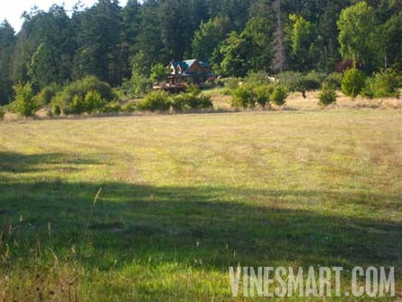 Pender Island, BC, Canada - Custom Handcrafted Home and Land W/ Vineyard Potential For Sale - Wine Real Estate