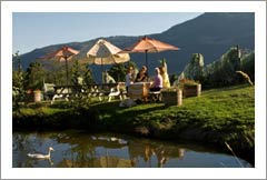 Salt Spring Vineyard and Winery For Sale