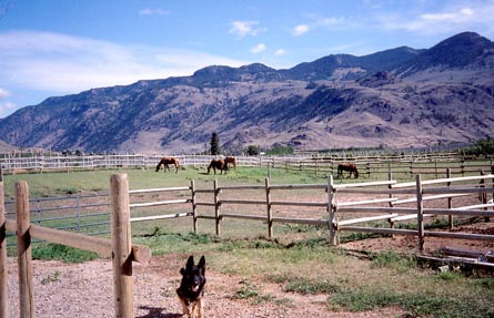 Keremeos, Similkameen Valley - Vineyard and Home For Sale - Valley Views