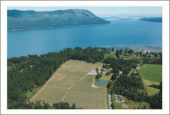 Cowichan Valley Winery and Vineyard Property For Sale - Vancouver Island, BC, Canada - Wine Real Estate