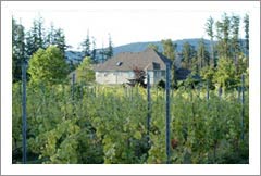 Okanagan Falls Vineyard, Orchard, and Home For Sale
