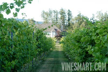 Vancouver Island,  BC - Vineyard and Estate Home with Winery Potential For Sale - Wine Real Estate