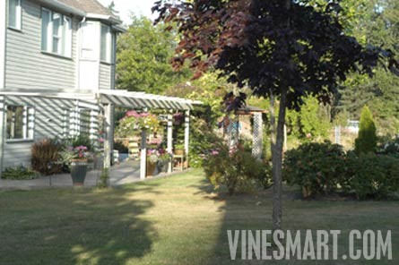 Vancouver Island,  BC - Vineyard and Estate Home with Winery Potential For Sale - Wine Real Estate
