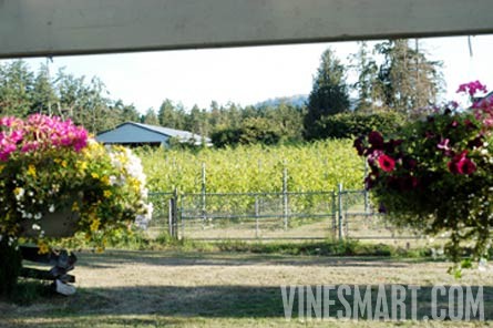 Vancouver Island,  BC - Vineyard and Estate Home with Winery Potential For Sale - Wine Real Estate