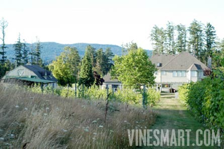 Vancouver Island,  BC - Vineyard and Estate Home with Winery Potential For Sale - Wine Real Estate