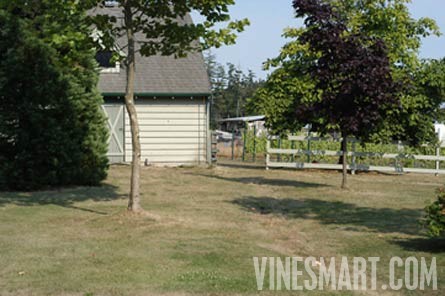 Vancouver Island,  BC - Vineyard and Estate Home with Winery Potential For Sale - Wine Real Estate