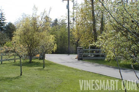 Vancouver Island,  BC - Vineyard and Estate Home with Winery Potential For Sale - Wine Real Estate