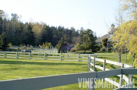 Vancouver Island,  BC - Vineyard and Estate Home with Winery Potential For Sale - Wine Real Estate