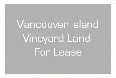 Vancouver Island, BC - Vineyard Land For Lease - Wine Real Estate