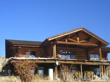 South Okanagan Valley, B.C. Canada - Vineyard and Large Log Cabin For Sale - Large Log Cabin