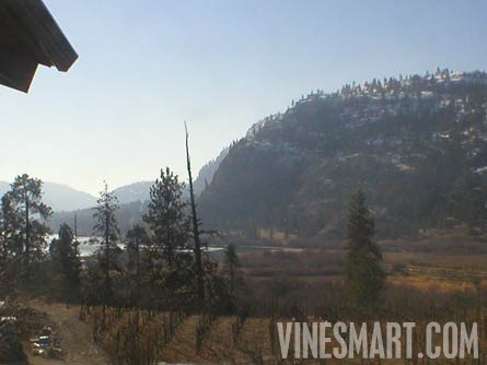South Okanagan Valley, B.C. Canada - Vineyard and Large Log Cabin For Sale - Lake View