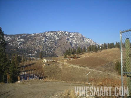 South Okanagan Valley, B.C. Canada - Vineyard and Large Log Cabin For Sale - Looking back at the house