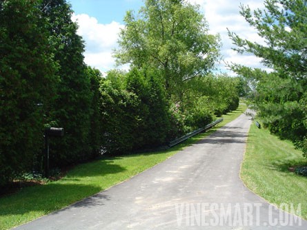 Niagara Wine Region - Vineyard and Home For Sale - Driveway