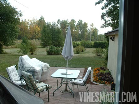 Augusta, Ontario, Canada - Vineyard and Home For Sale - Patio