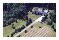 Niagra Wine Region - Vineyard and Large Home For Sale