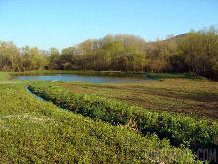 Bulgaria Vineyard and Land For Sale - Wine Real Estate