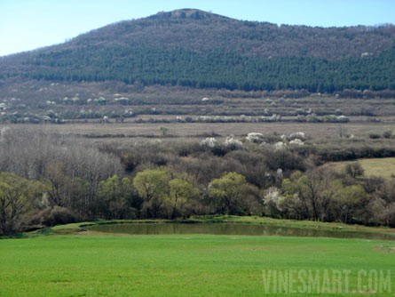 Bulgaria Vineyard and Land For Sale - Wine Real Estate