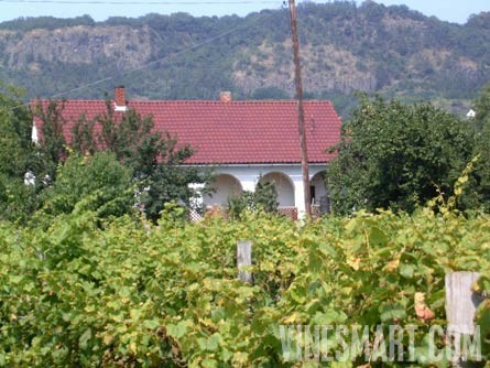 Somlo, Hungary - Home, Vineyard, and Orchard Property For Sale - Wine Real Estate