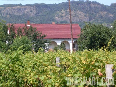 City winery coupon code