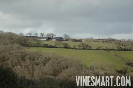 England Vineyard and Home For Sale - Europe - Wine Real Estate - Hanalei, Cei Bach Road, Llanarth, SA47 0QA
