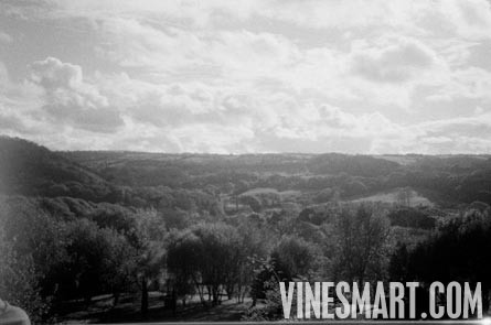 England Vineyard and Home For Sale - Europe - Wine Real Estate - Hanalei, Cei Bach Road, Llanarth, SA47 0QA