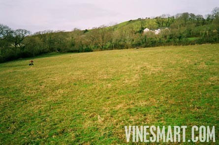 England Vineyard and Home For Sale - Europe - Wine Real Estate - Hanalei, Cei Bach Road, Llanarth, SA47 0QA