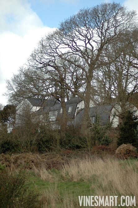 England Vineyard and Home For Sale - Europe - Wine Real Estate - Hanalei, Cei Bach Road, Llanarth, SA47 0QA